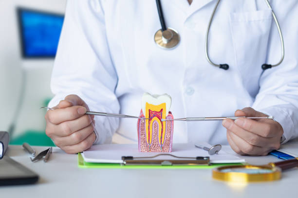 Best Broken or Chipped Tooth Repair in Harrisburg, OR